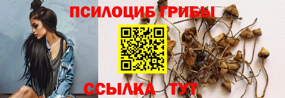 Красноярск  Псилоцибиновые грибы ЛСД  Вход с VPN 