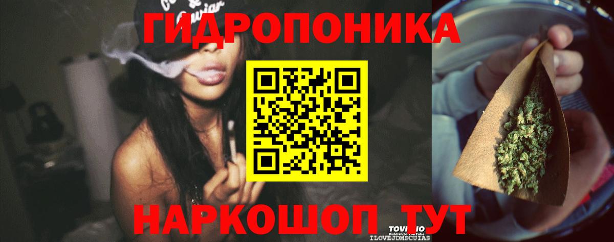 Конопля Bruce Banner Красноярск